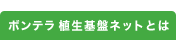 ボンテラ 植生基盤ネットとは